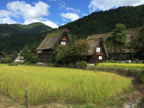 究極の自然素材の家